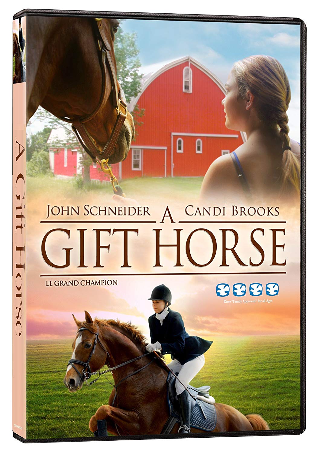 A Gift Horse (DVD) Walmart Canada