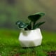 thumbnail image 3 of 8pcs Bonsai Bonsai Greedery Adveringy Dollhouse Decoración Bonsai Modelo de planta pequeña, 3 of 6