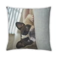 thumbnail image 2 of Ahgly Company Dogs Bulldog Coussin d'Intérieur, 18 Pouces par 18 Pouces, 2 of 6