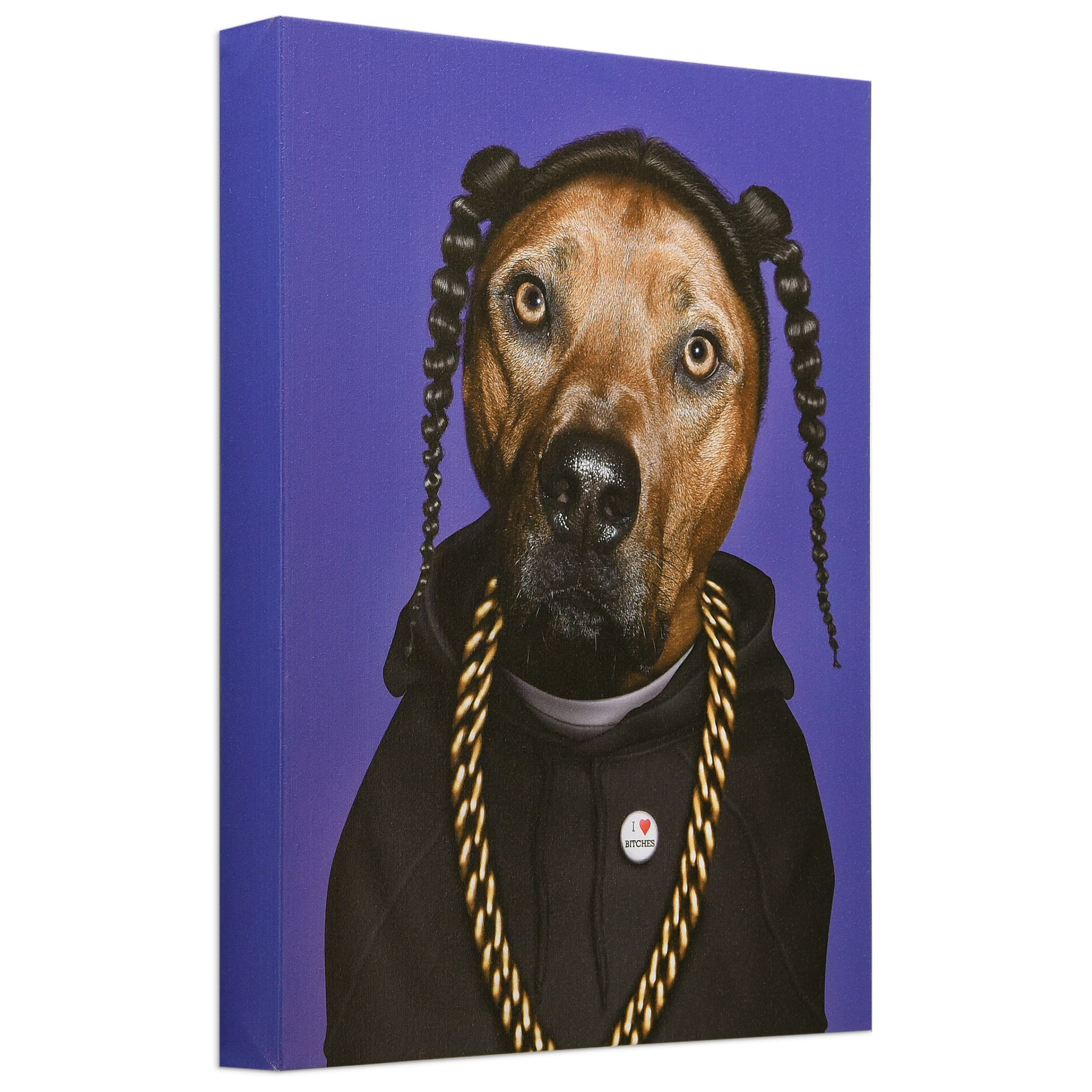 Empire Art Direct Almofada decorativa Pets Rock GG