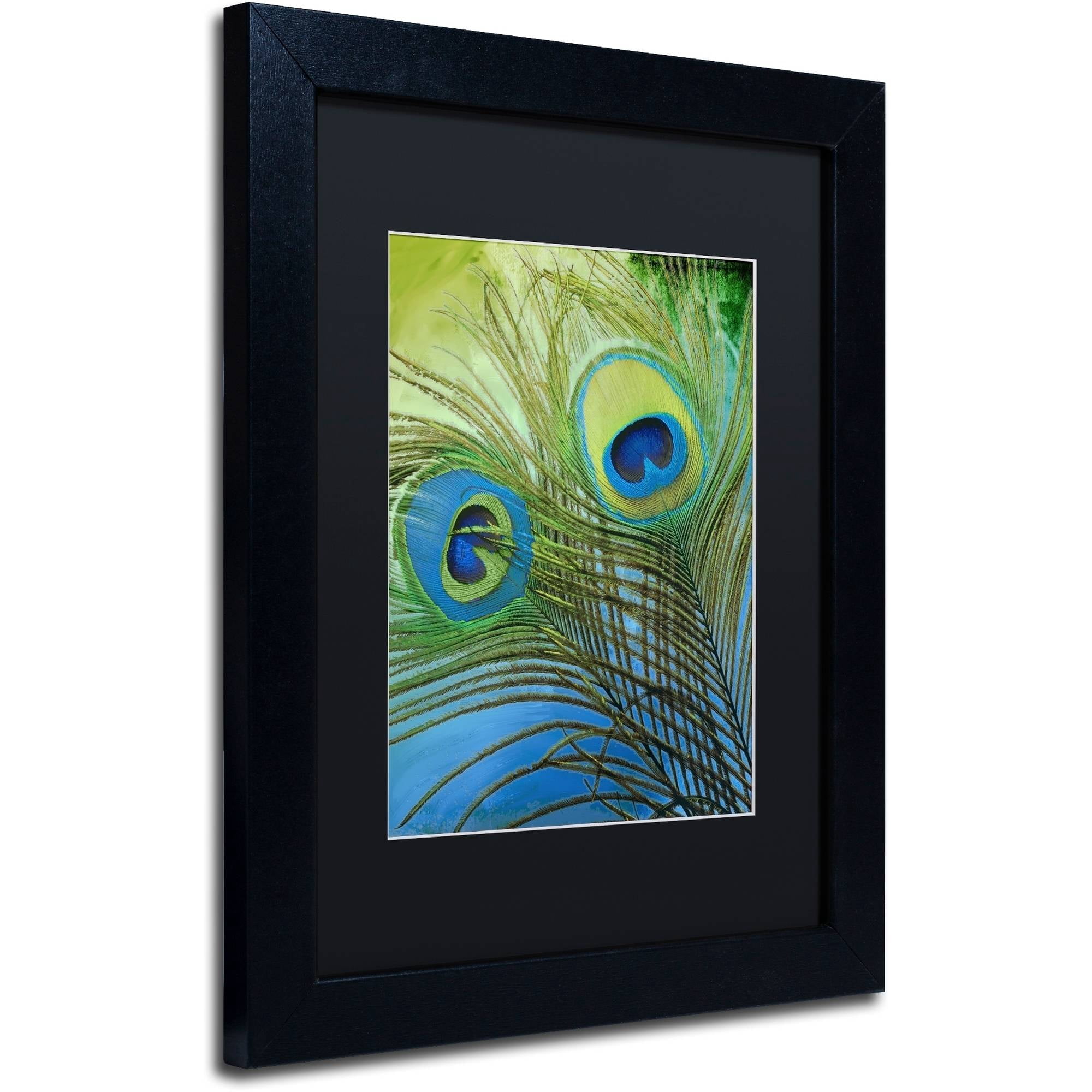 Trademark Fine Art "Peacock Candy I" Canvas Art by Color Bakery Black Matte, Black Frame