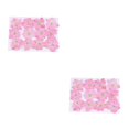 thumbnail image 2 of Cateissary 12 piezas de flores secas, espécimen prensado teñido Natural en gran comodidad, suministros para álbumes de recortes para carcasa de Type2 NO2 Cateissary CBP228501, 2 of 5