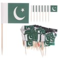 thumbnail image 1 of 100pcs Pakistan Flag Toothpicks Decorative Flag Cake Picks Nation Flags Cake Toppers, 1 of 3