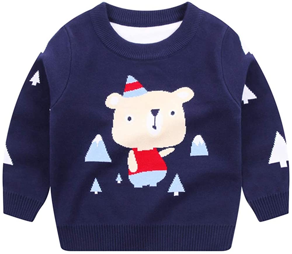 Little Boys Dinosaur Jumper Sweatshirt 