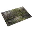 thumbnail image 3 of Print: Rural Alabama In The Spring, 2010, 3 of 4