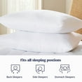 thumbnail image 4 of Doctor Pillow Luna Pedic Luxe Cloud 2 PACK Pillow, 4 of 5