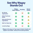 thumbnail image 6 of Wagsy Dog Breath Freshener & Dental Water Additive – Naturally Derived Dog Mouthwash for Bad Breath, Plaque, Tartar & Teeth Cleaning, 6 of 7