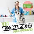 thumbnail image 6 of Pig Ears for Dogs - 12 Pack | Natural Dog Chews | Long Lasting Treats for Dogs for Promoting Healthy Teeth and Gums, Muscle Development, and Overall Health | Preservative Free, 6 of 6