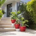 thumbnail image 6 of Red Ceramic Plant Pots Set of 3 – 6, 8, 10 Inch Round Flower Pots with Drainage for Indoor Outdoor Plants, Large Planters, 6 of 8