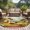 Yellow, variant on Round Area Rug 8 Ft, Farmhouse Rooster Washable Non-Slip Circle Carpet for Living Room/Bedroom, Vintage Rustic Plants Oil Painting Collection Low-Profile Large Area Rugs for Indoor