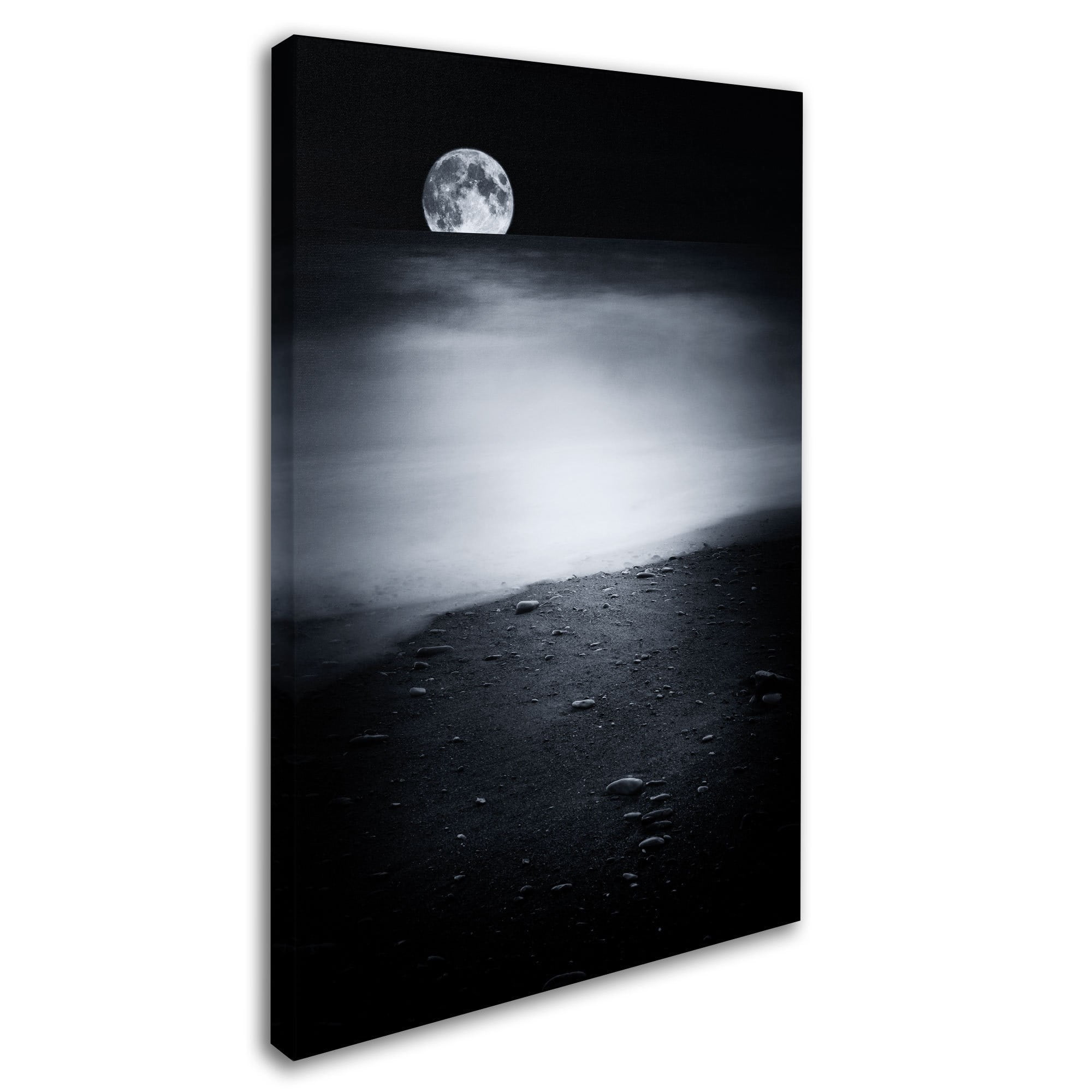 Trademark Fine Art "Black Sweat" Canvas Art by Philippe Sainte-Laudy