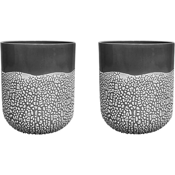 Hosley's Set of 2, Ceramic Lichen Box Floral Planter Charcoal, 5" High