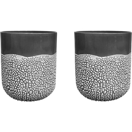 Hosley s Set of 2  Ceramic Lichen Box Floral Planter Charcoal  5  High