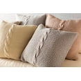 thumbnail image 3 of Surya Genevieve 20" x 20" Medium Square Pillow Cover GN003-2020, 3 of 3
