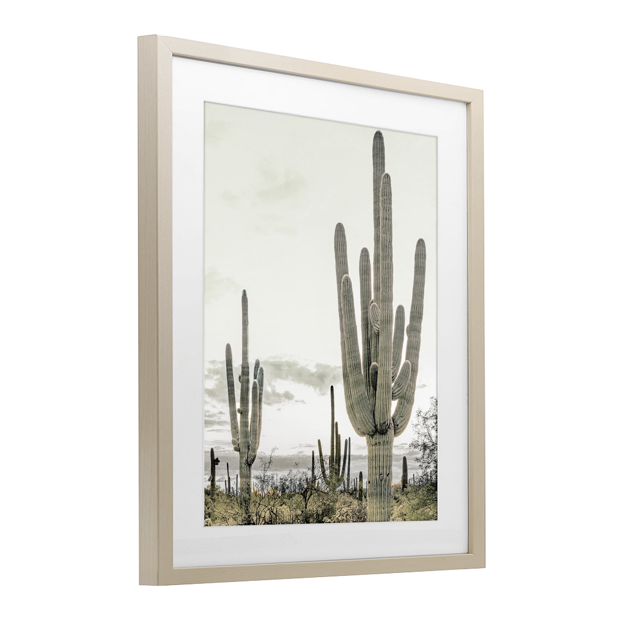 Stupell Industries Subdued Desert Cacti Birch Framed Print Under Glass, design by Kim Allen