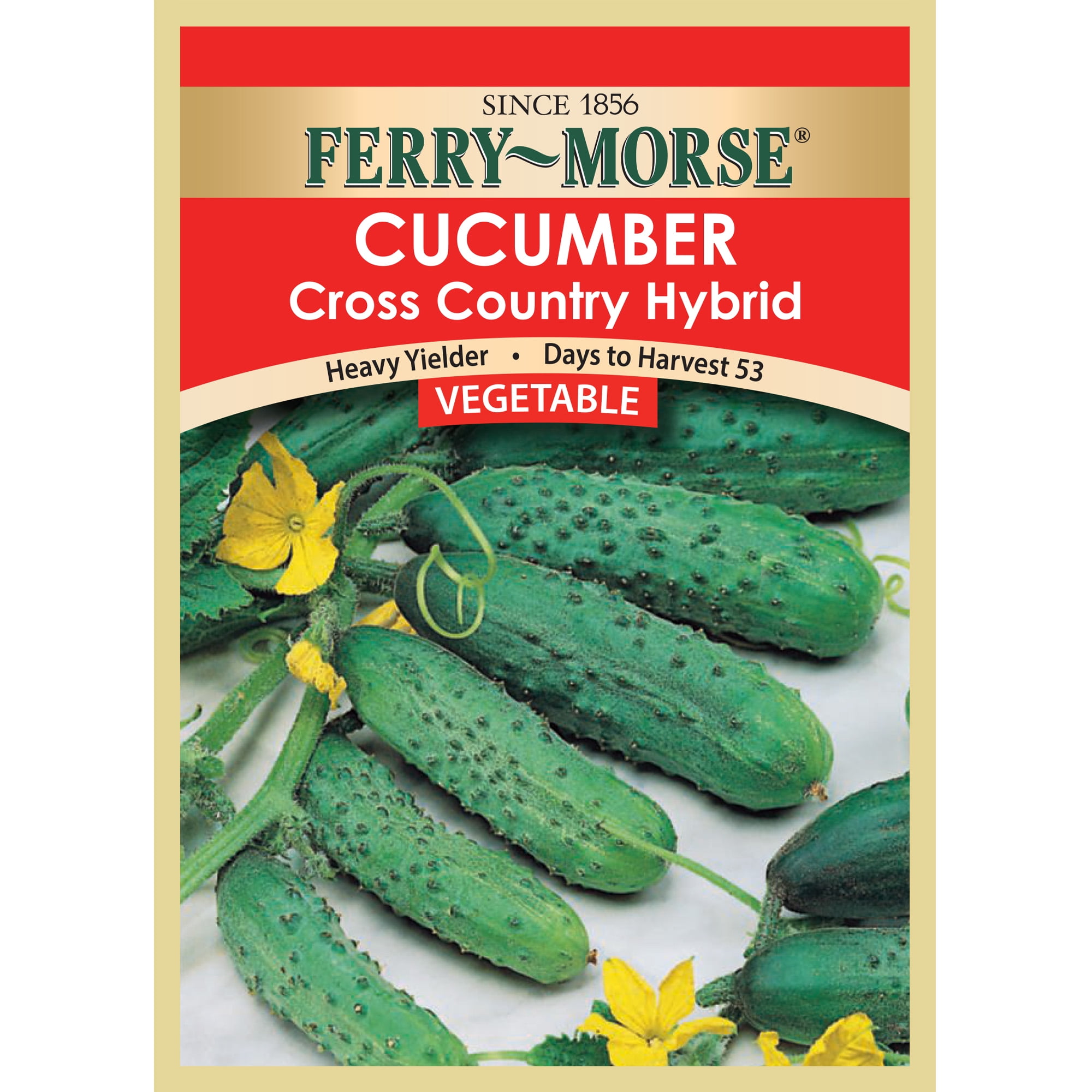 FerryMorse Cucumber Cross Country Hybrid