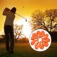 thumbnail image 4 of Cubiertas universales de hierro para golf, TPE, antideslizante, para la cabeza del club, protector, accesorios para deportes al aire libre, 8 piezas naranja Macarena Cubierta de la cabeza de los hierros de golf, 4 of 8