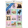 thumbnail image 3 of Keith Kimberlin - Puppies - Cuties Grid, 3 of 5