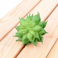 thumbnail image 4 of 10x Fake Succulents Small Vivid Useful Simulated Plants Multi-functional Lifelike Photo Props for Household Yards Lawn Flowerpot Type 30, 4 of 9