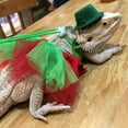 thumbnail image 5 of Pet Bearded Dragon Cosplay Tutu Skirt+ Hat +Harness Christmas Costume Christmas Dress Up Pet Christmas Holiday, 5 of 7
