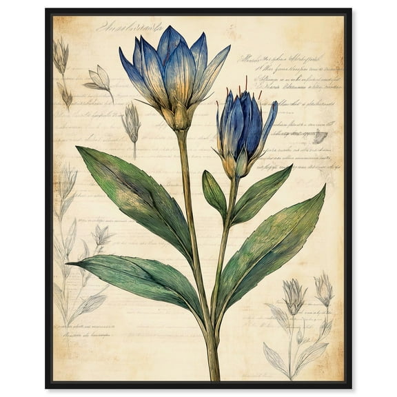 Nature’s Alpine Canvas Vintage Botanicals by Art Remedy, Black Frame, 16" x 20"