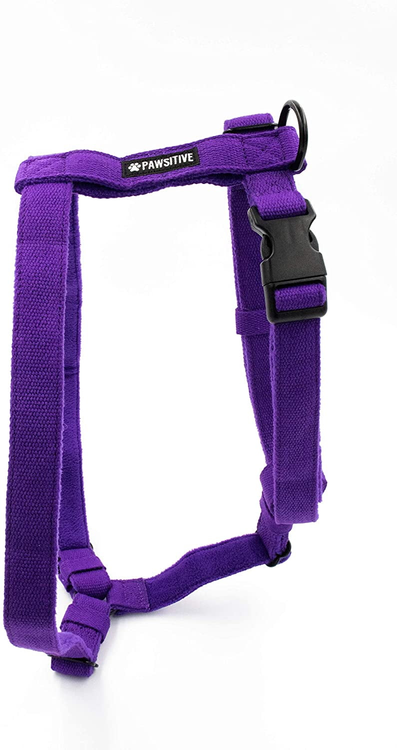 pawsitivity dog harness