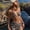 Deep Coffee, variant on Women 3 Piece Abstract Print Lace Bikini Set, Halter Tie Shell Detail Triangle Top, Side Tie High Cut Bottom & Wrap Sarong Skirt Cover Up, Bohemian Beach Bathing Suit for Vacation Spa
