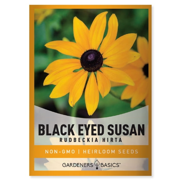 Black Eyed Susan Seeds