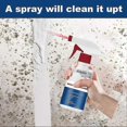 thumbnail image 3 of 1-3pcs Mildew Cleaner Foam,mildew Deodorant Decontamination Spray,foam Mildew Spray, 3 of 5