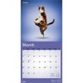 thumbnail image 3 of Yoga Cats OFFICIAL | 2026 12x24" (Hanging) Square Wall Calendar | Plastic-Free, 3 of 9