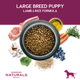 thumbnail image 5 of Combo Diamond Naturals Large Breed Puppy Lamb & Rice Formula 2.72 Kg MAS Dos Latas Royal Canin Adult, 5 of 5