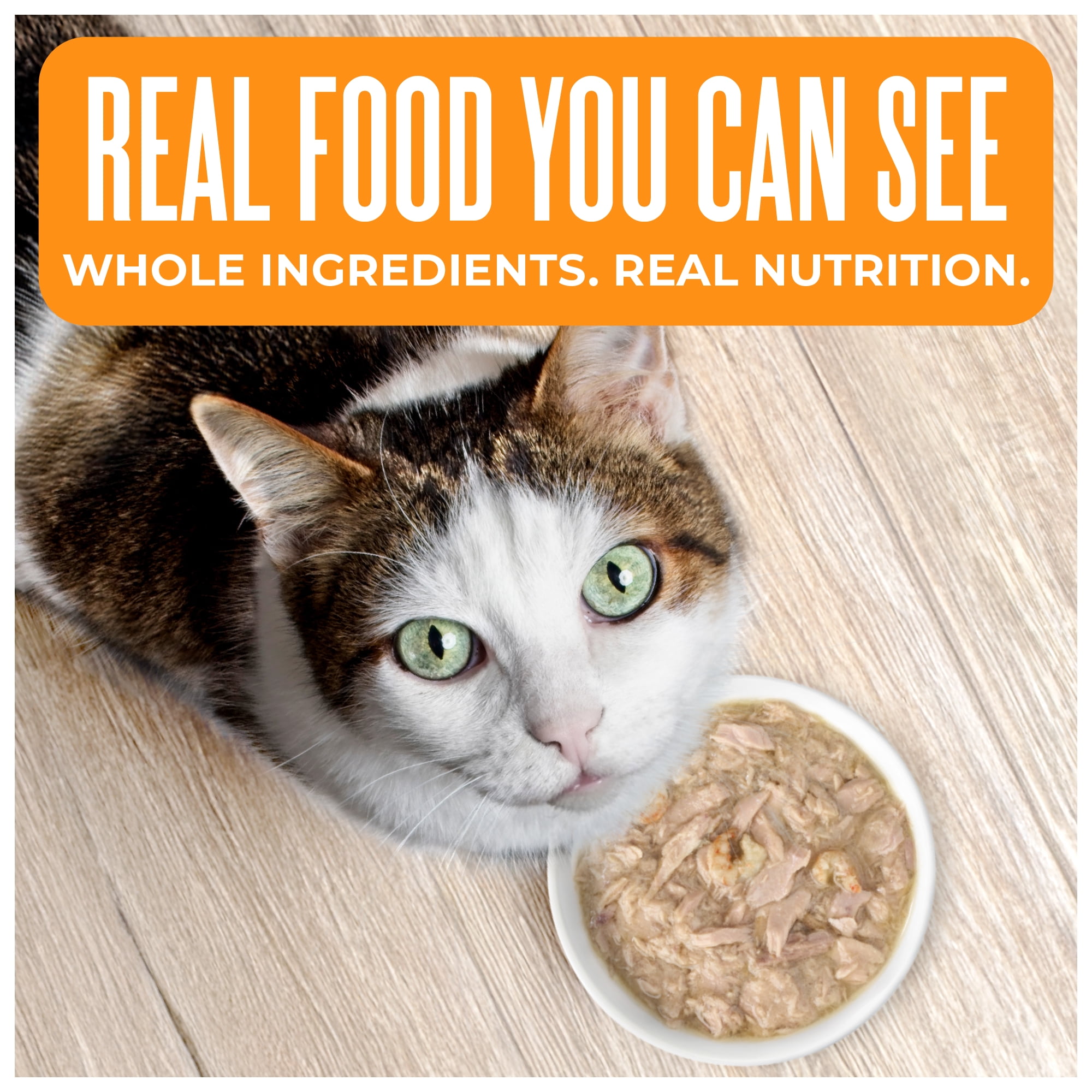 Tiki Cat Born Carnivore Wet Cat Food, Tuna & Shrimp Recipe in Tuna Broth, 2.4 oz. Can