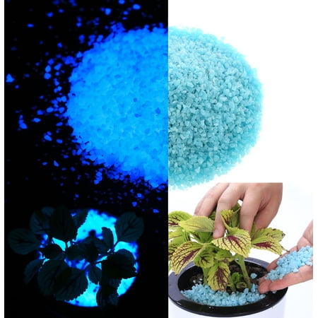 Fish Planter Pots 2lb Glow In the Dark Small Tiny Pea Gavel for Indoor Plants Blue Glow Light Aquarium, Planters, and Vase Safe for Plants and Fish ()