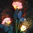 thumbnail image 4 of Xihbxyly Luces Solares para Jardín, 6 Rosas Artificiales Iluminadas, Flores de Eva Realistas, Energía Solar, Diseño Impermeable, Ideal para Jardín, Patio, Cementerio, Regalo Del Día de La Madre, 82 C, 4 of 7