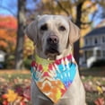 thumbnail image 2 of Dog Bandana 1 Pack,Colorful Tie Dye Pattern Bandanas for Dogs,Cat Bandana,Small/ Large Dog Bandana 2 Size,Dog Bandanas, 2 of 6