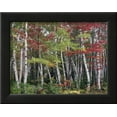 thumbnail image 2 of Forest, Trees, Birch, Maple, Autumn Foliage, Botanical Seasons Framed Art Print Wall Art by Thonig Sold by Art.Com, 2 of 5