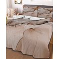 thumbnail image 3 of Quilts Full Size, Marble Brown Soft Comforter Bedding Set for Bed, Modern Abstract Ink Painting Luxury Lightweight Quilted Bedspread with Pillow Cover(2 Pieces) for All Season, 78x90 Inch, 3 of 6