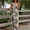 Army Green2, variant on Jumpsuits For Women Elegant Spaghetti Strap Long Pants One Piece Jumpsuits Baggy Overalls Crew Neck Going Out Date Night Plus Size Womens Rompers For Summer XXL