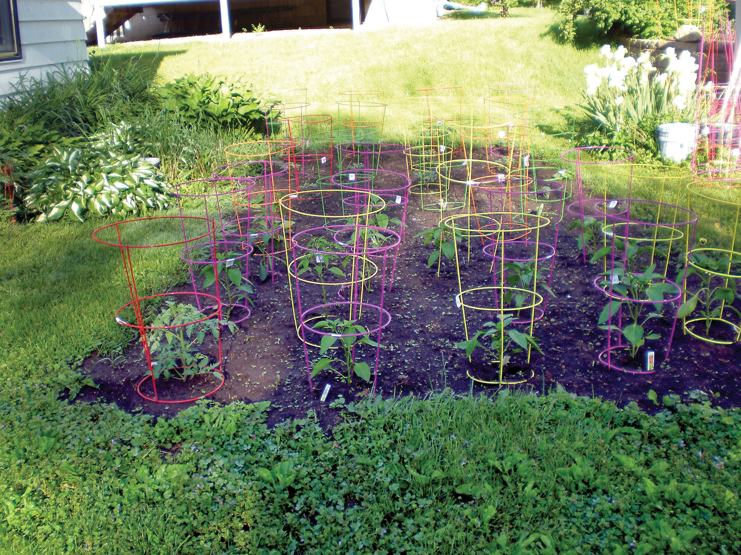 Glamos - Wire 42 in., Light Green, Heavy Duty Tomato Cages