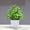 E, variant on QAQuu Artificial Potted Plants – Small Greenery for Home Decor, Perfect for Indoor Tabletop and Shelf Displays