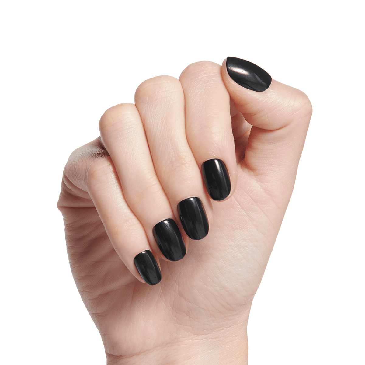 ●ONE BRILLIANT● JinOB461Black Olive Jin-OB461-Black Olive Jin-OB461-Black Olive - ONE BRILLIANT