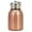 Gold, variant on 280ML Portable Stainless Steel Insulated Water Bottle, Keep Drinks Hot or Cold