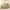 Green, variant on COM1950s Outdoor Pillows with Inserts Included 15.74X15.74 in Cases Summer Throw Pillows Home Decor for Living Room Bedroom Bed Cushion Outdoor Home Decorations for Living Room
