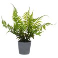 thumbnail image 1 of IFANLANDOR 1Ud Planta Decorativa Artificial De Helecho En Plástico Color Azul Para Y Oficina, 1 of 6