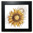 thumbnail image 1 of Sunflower Sunflower Flower Black Square Frame Picture Wall Tabletop, 1 of 3