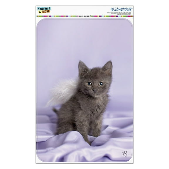 Domestic Shorthair Kitten Cat Angel Wings Purple Satin Home Business Office Sign