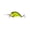Chartreuse Black Back, variant on BD6 Crankbait, Deep Diving Bass Lure with Precision Action for Big Strikes, Pearl Grey Shiner