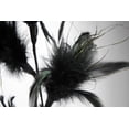 thumbnail image 2 of Wired Black Feather Branch, 2 of 3