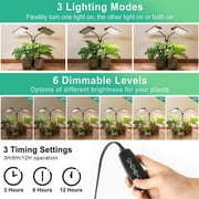Grow Light for Indoor Plants, Full Spectrum Desk LED Plant Light with 3H/6H/12H Timer, 6-Level Brightness, Height Adjustable, Flexible Gooseneck, Ideal for Indoor Growth