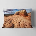 thumbnail image 2 of Designart 12" x 20" Brown Polyester Throw Pillow, 2 of 5
